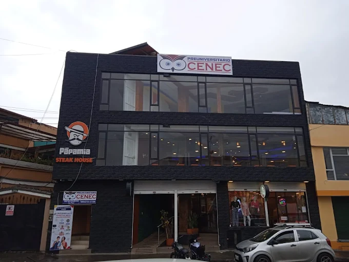 Preuniversitario CESS Sur